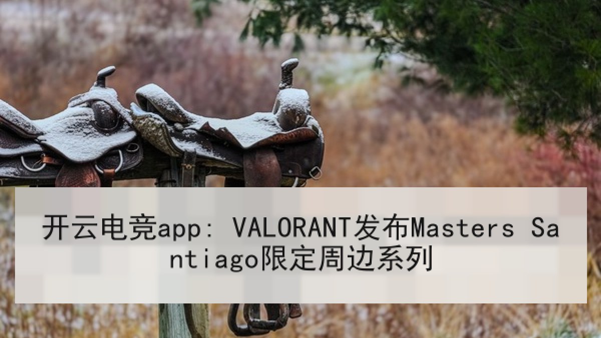 开云电竞app: VALORANT发布Masters Santiago限定周边系列