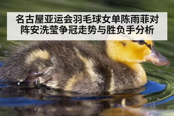 名古屋亚运会羽毛球女单陈雨菲对阵安洗莹争冠走势与胜负手分析